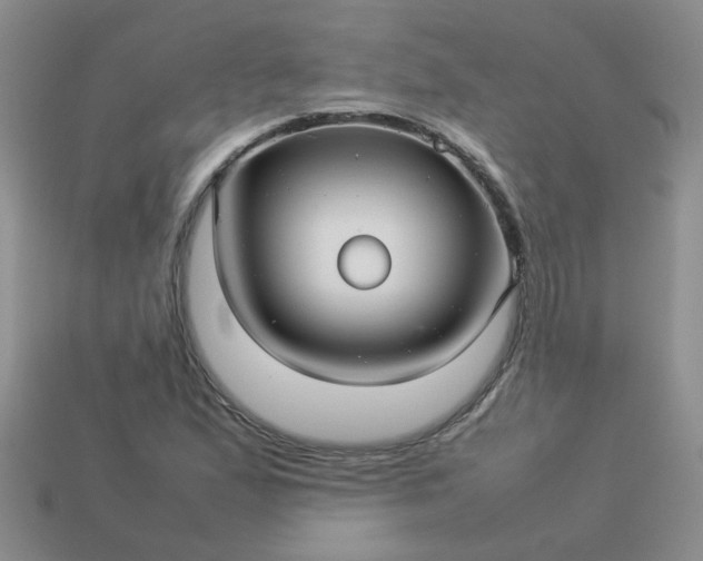 X0000114141167200910221519