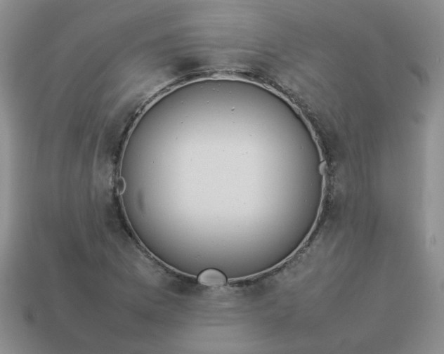 X0000114141169200910221519