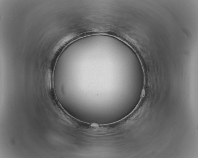 X0000114141171200910221519