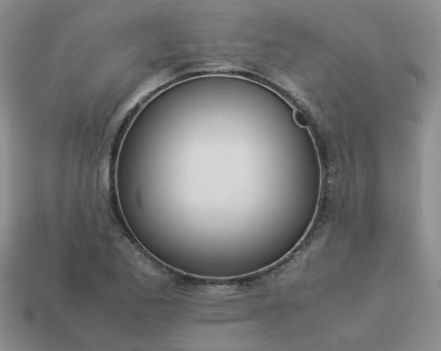 X0000114141173200910221519