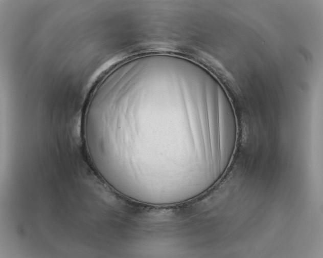 X0000114141174200910221519