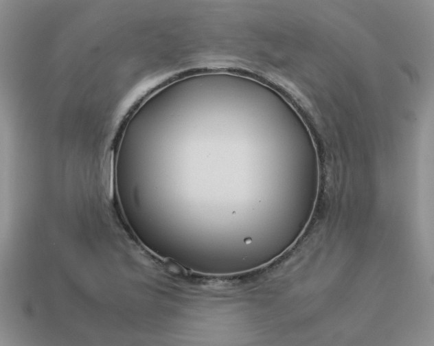 X0000114141175200910221519