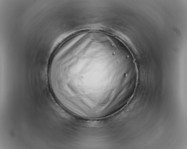 X0000114141176200910221519