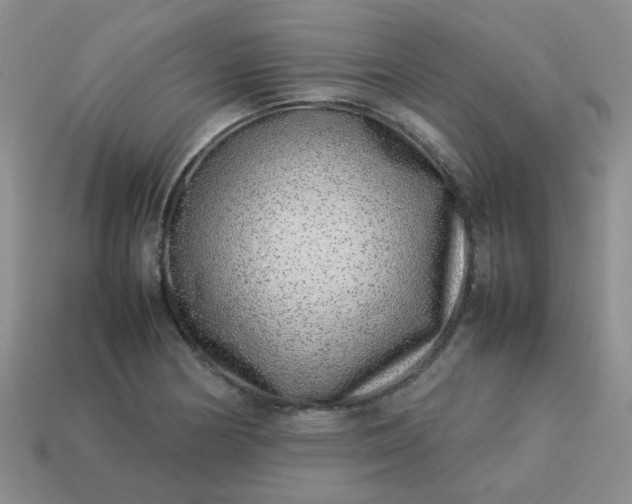 X0000114141178200910221519