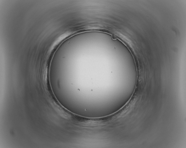 X0000114141179200910221519