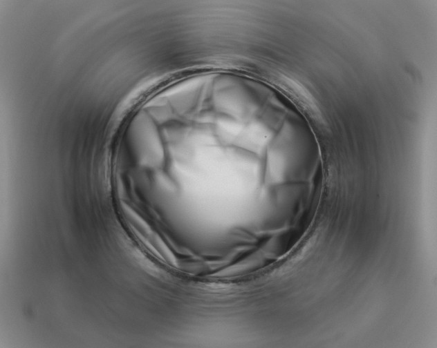 X0000114141180200910221519