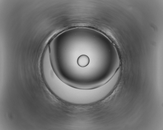 X0000114141181200910221519