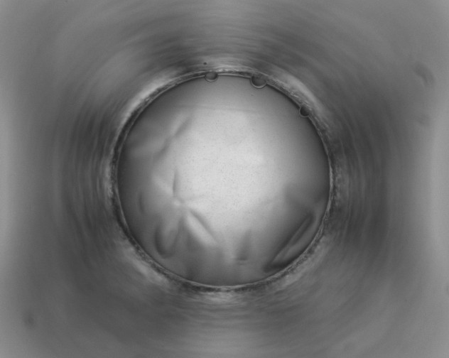 X0000114141182200910221519