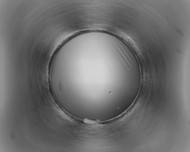 X0000114141184200910221519