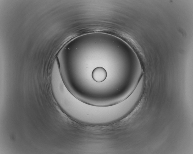 X0000114141185200910221519