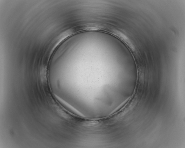 X0000114141186200910221519