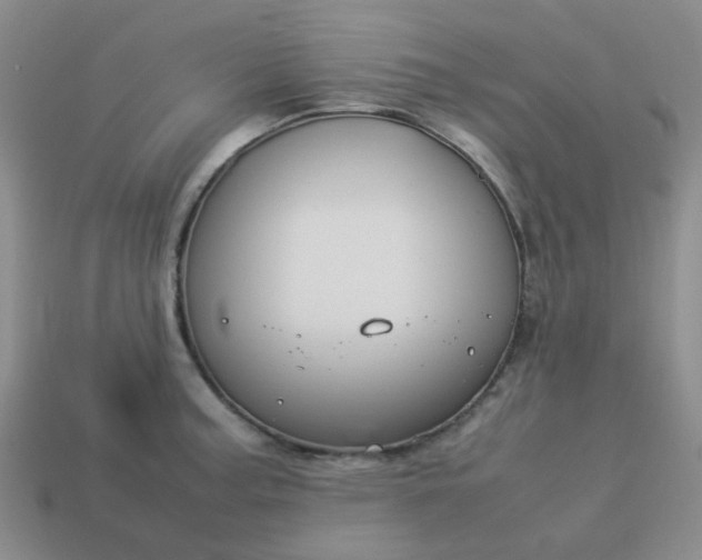 X0000114141187200910221519