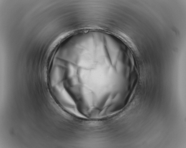 X0000114141188200910221519