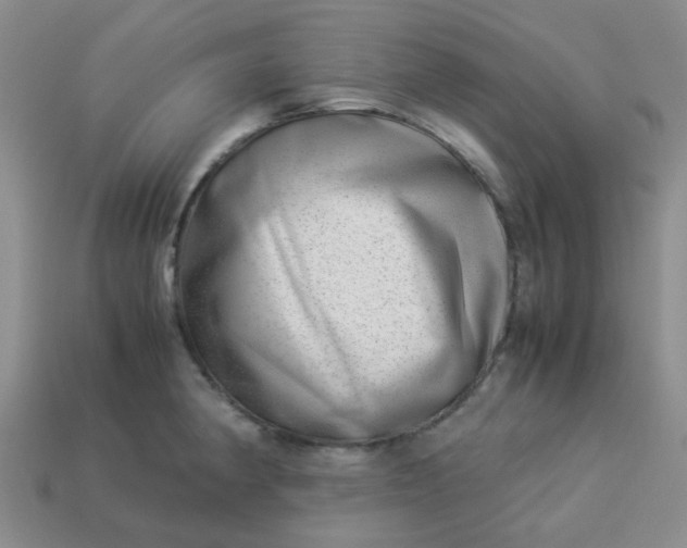 X0000114141190200910221519