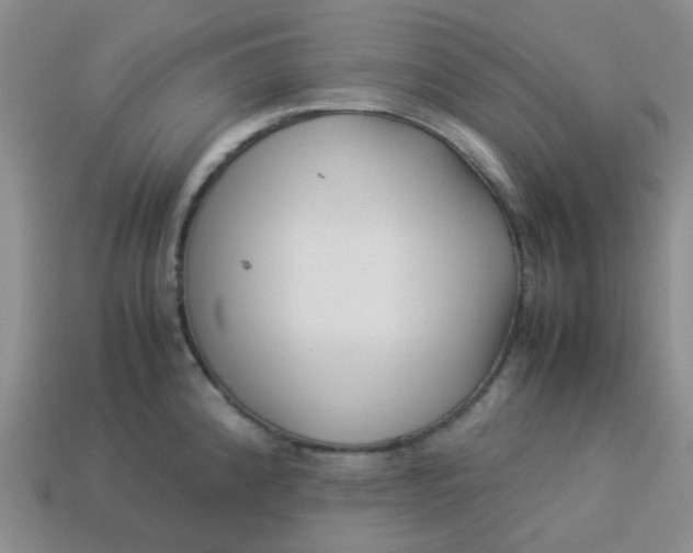 X0000114141192200910221519