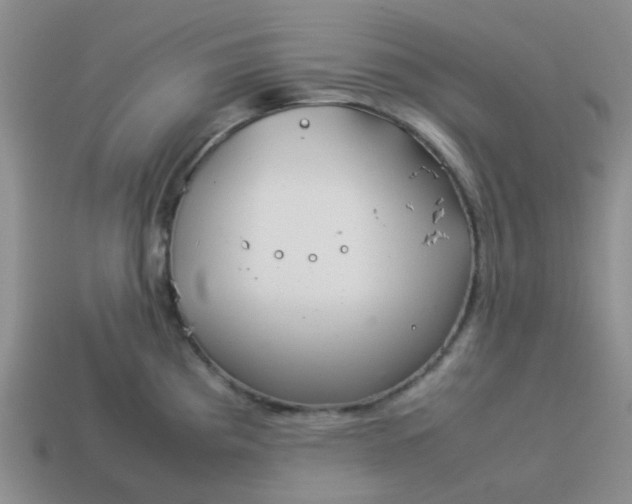 X0000114141193200910221519