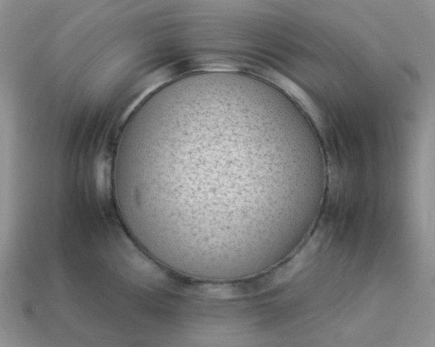 X0000114141194200910221519