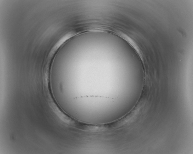 X0000114141195200910221519