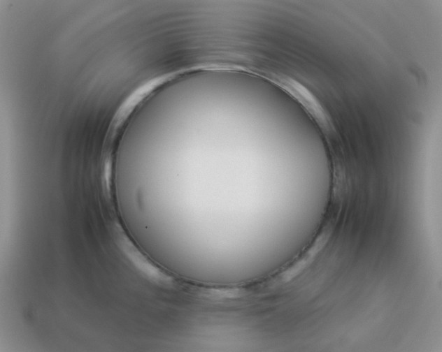 X0000114141196200910221518