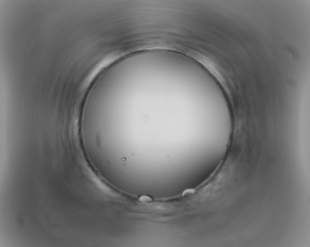 X0000114141197200910221518