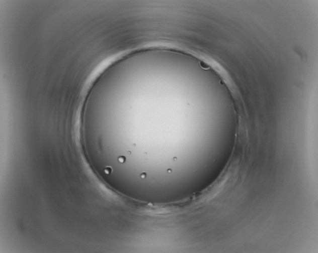 X0000114141199200910221518