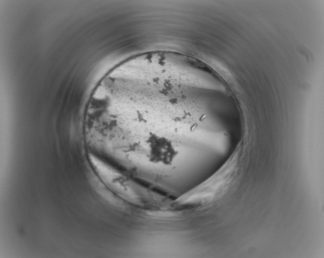 X0000114141200200910221518