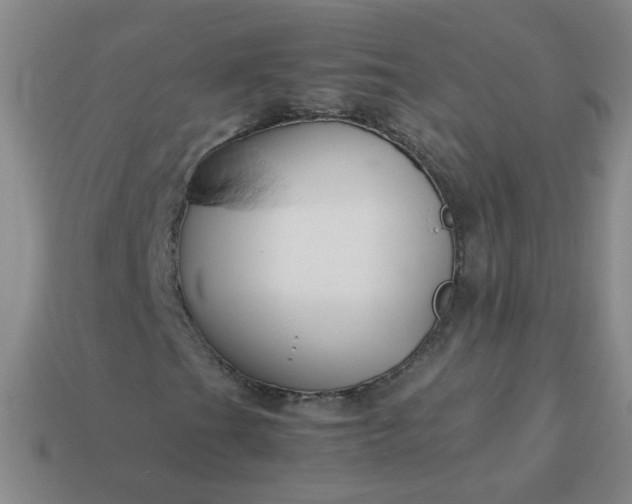 X0000114141201200910221518