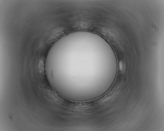 X0000114141203200910221518