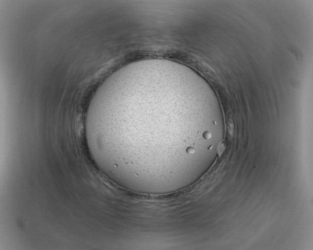 X0000114141204200910221518