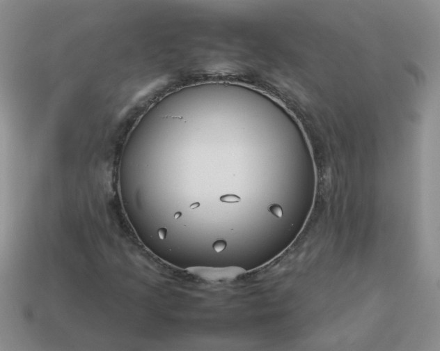 X0000114141205200910221518