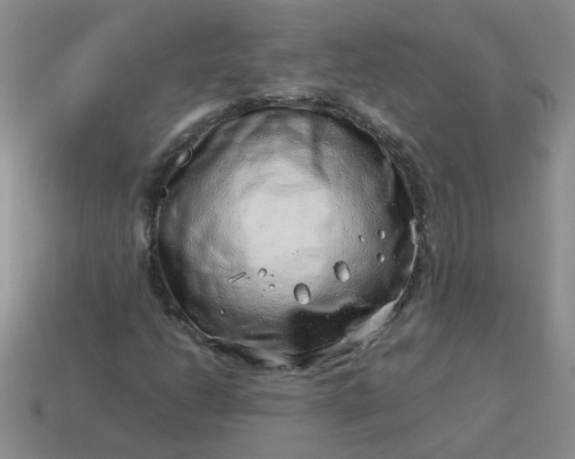 X0000114141206200910221518