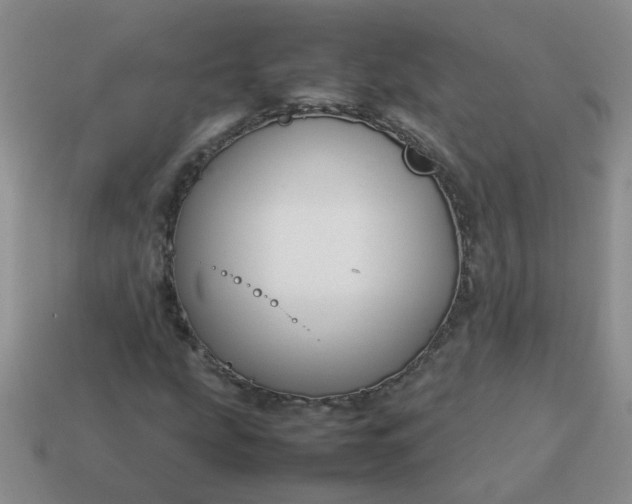 X0000114141207200910221518