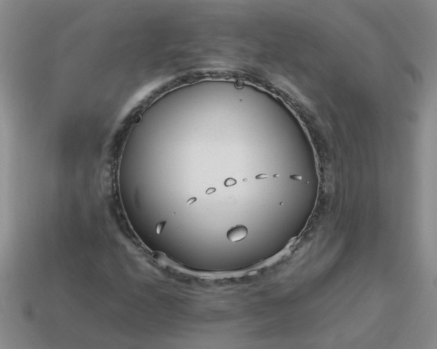 X0000114141208200910221518