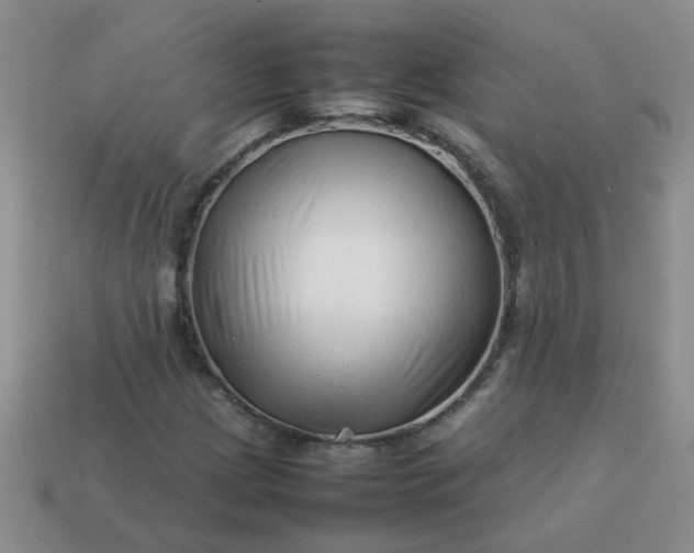 X0000114141209200910221518