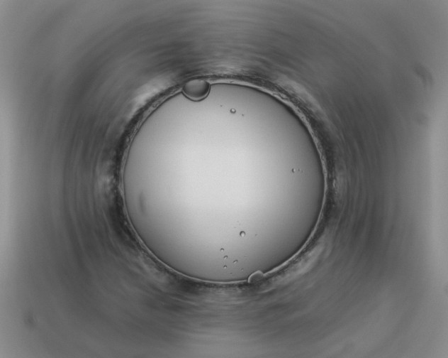 X0000114141210200910221518