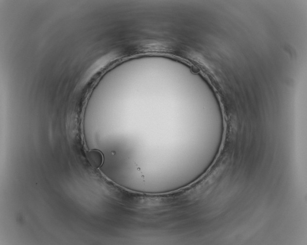 X0000114141211200910221518