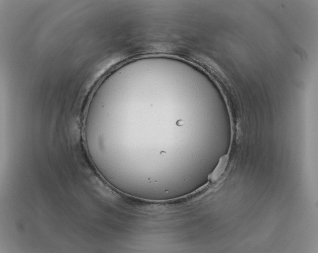 X0000114141212200910221518