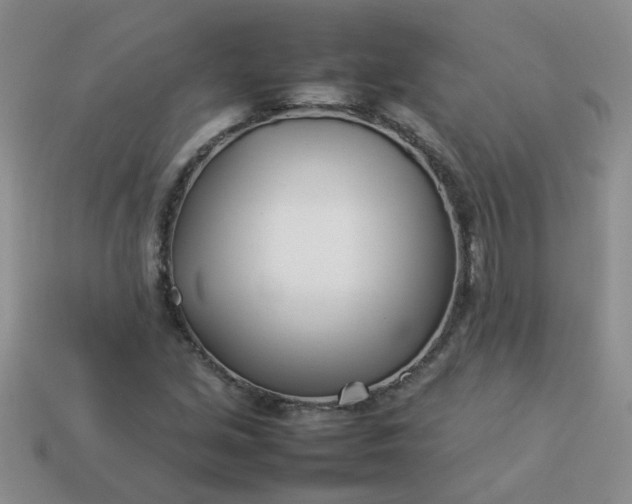 X0000114141213200910221518