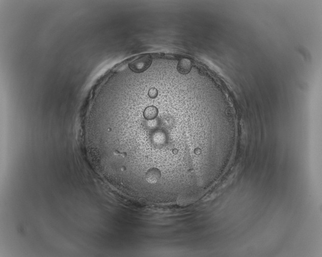 X0000114141215200910221518