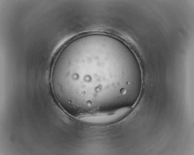 X0000114141216200910221518