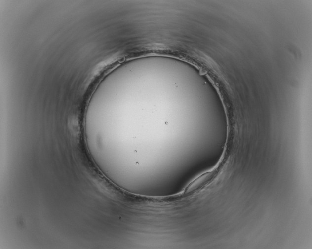 X0000114141218200910221518