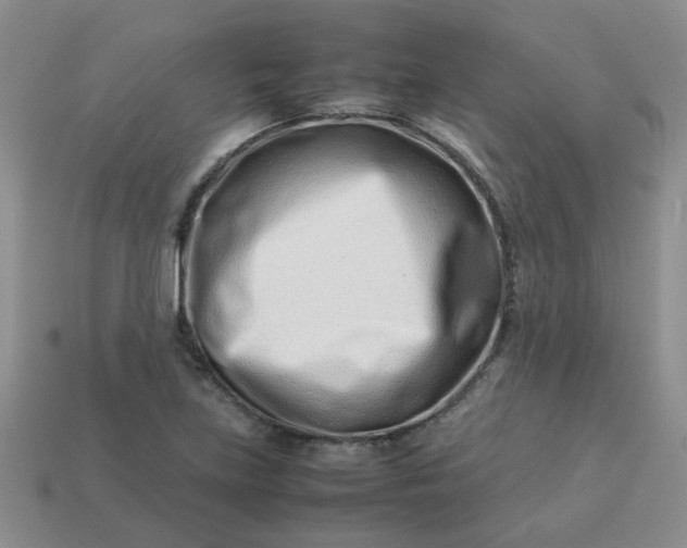 X0000114141219200910221518