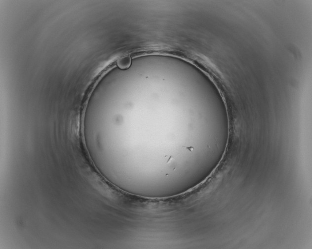 X0000114141220200910221518