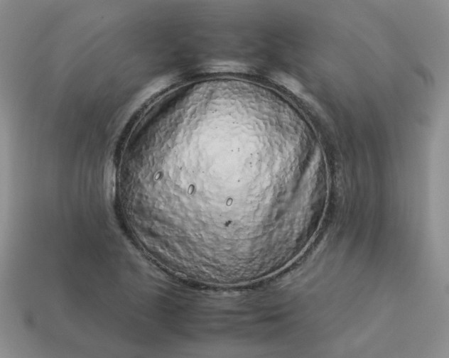 X0000114141221200910221518