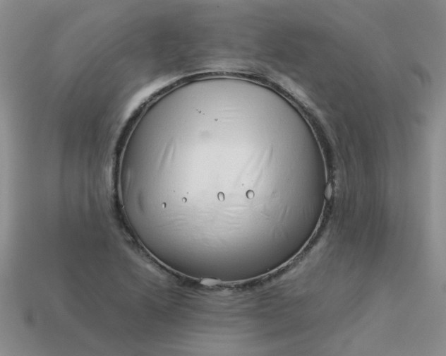 X0000114141222200910221518