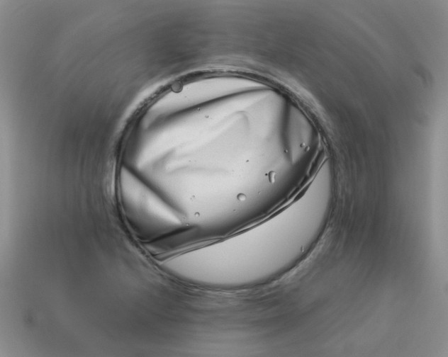 X0000114141224200910221518