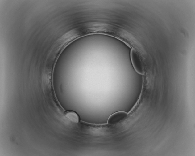 X0000114141225200910221518