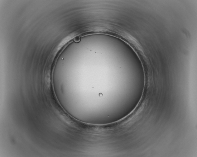 X0000114141226200910221518