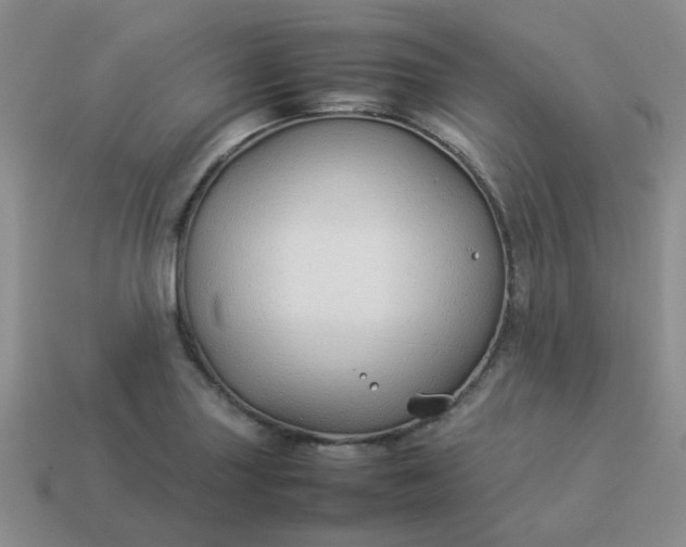 X0000114141227200910221518