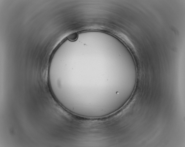 X0000114141228200910221518